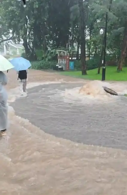 暴雨停赛？深圳千座公园关闭背后，电竞选手的“室内生存指南”火了